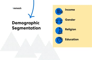 Demographic Segmentation Visual